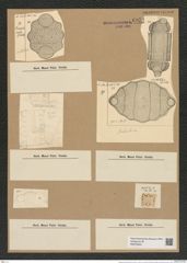 Biddulphia pulchella Gray (de-Toni-Nr.: Genus 123, Species 3466) Zeichnungen Sammlung Grunow Nr. 6951 (NHMW-BOT-W0375845)